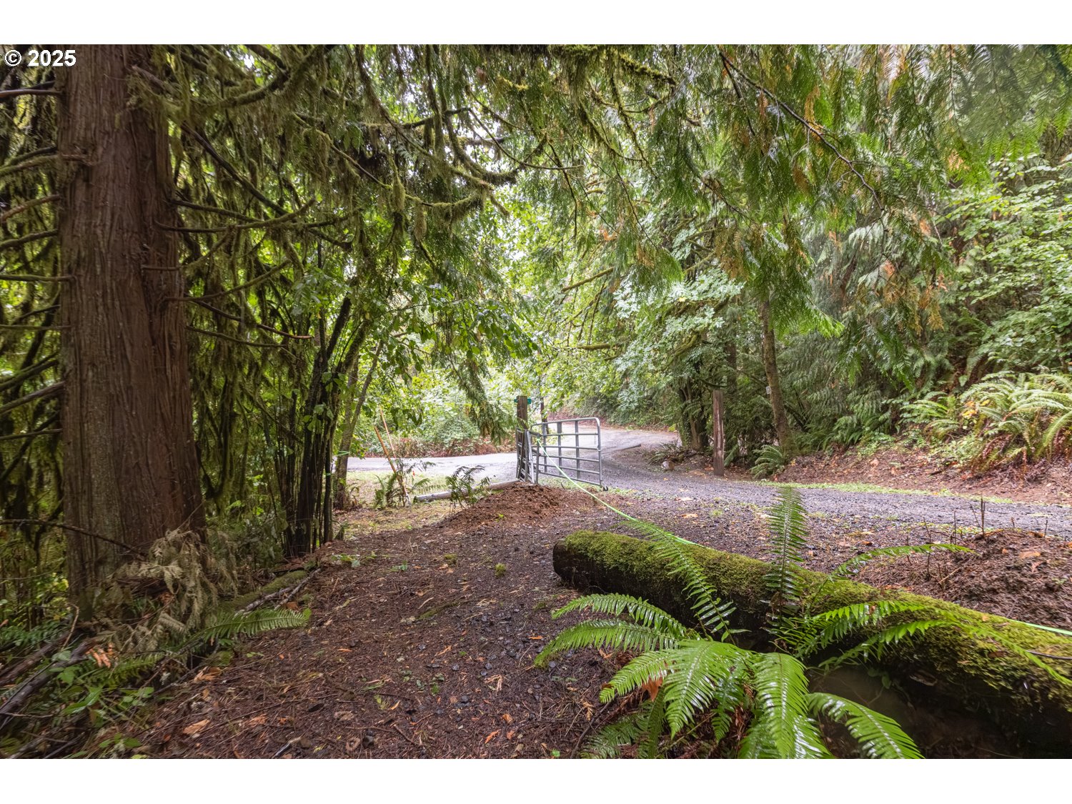 34 Twn 4n Rng 2w Scappoose, OR 97056 - Photo 6 of 28