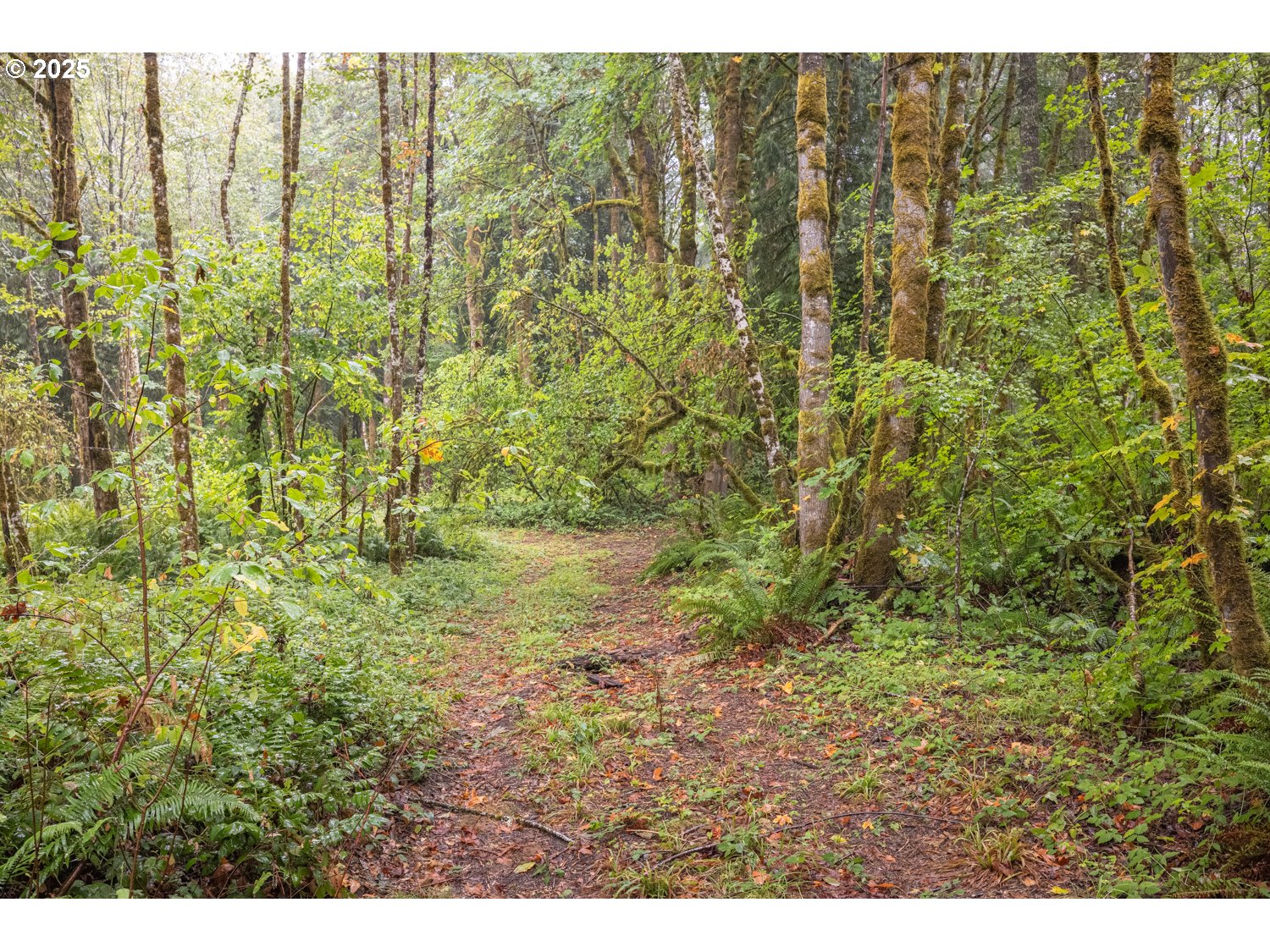 34 Twn 4n Rng 2w Scappoose, OR 97056 - Photo 8 of 28