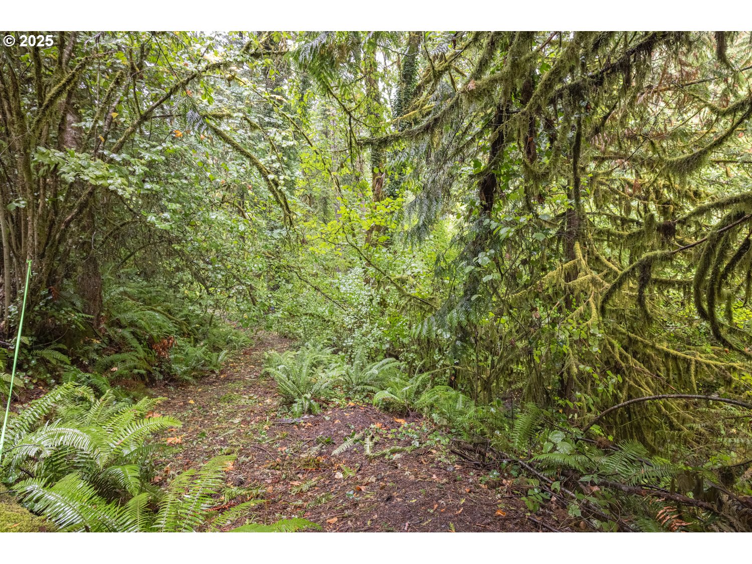 34 Twn 4n Rng 2w Scappoose, OR 97056 - Photo 9 of 28