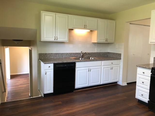 624 Quail Run Road Matteson, IL 60443 - Photo 8 of 30 a kitchen with a sink and cabinets