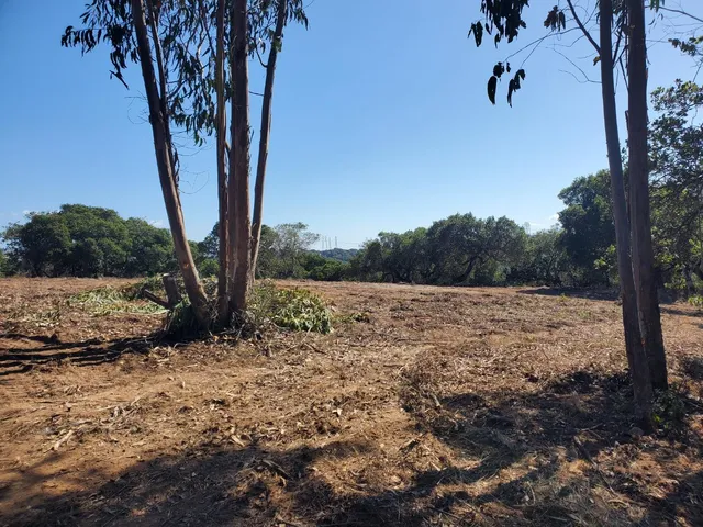 a view of side of a snow on the road