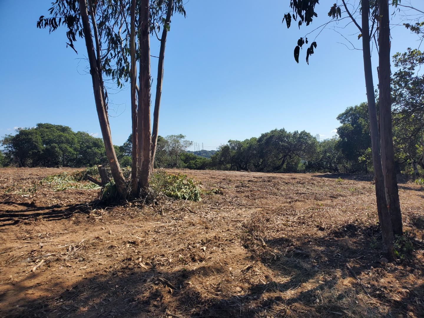 19705 Moonglow Road Salinas, CA 93907 - Photo 11 of 19 a view of a yard