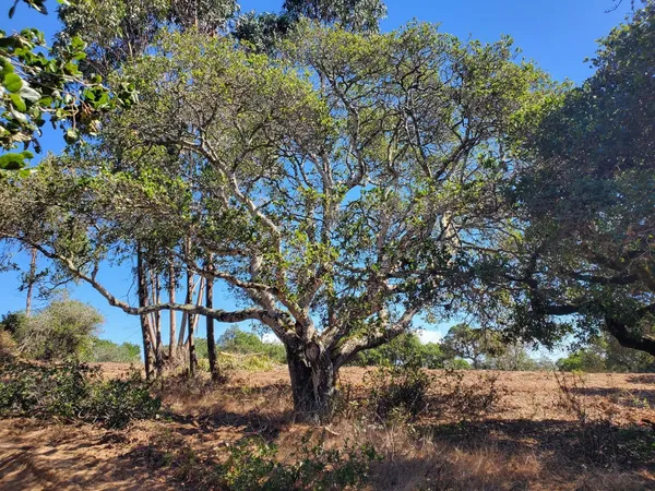 $449,000 | 19705 Moonglow Road, Salinas, CA 93907