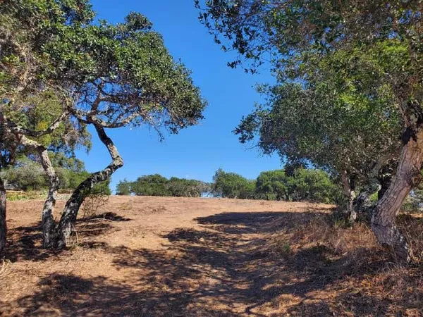 a view of dirt yard with a mountain