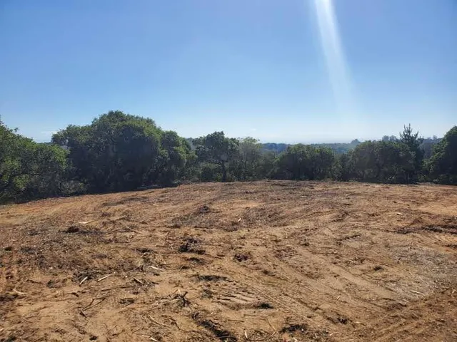 a view of a road with a tree in the background