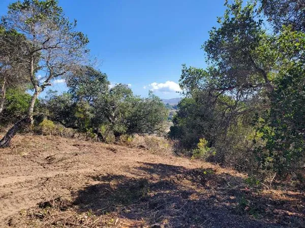 a view of a large building