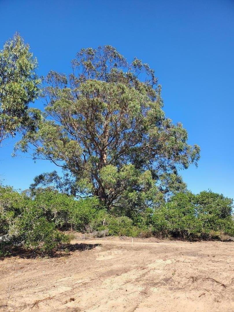 19705 Moonglow Road Salinas, CA 93907 - Photo 9 of 19 a view of a large building