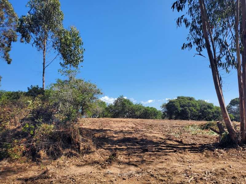 19705 Moonglow Road Salinas, CA 93907 - Photo 10 of 19 a view of a backyard with large trees