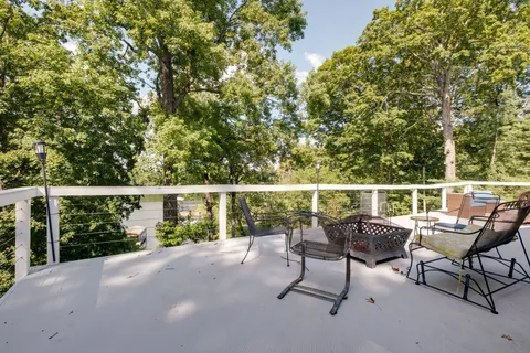 a view of a yard with plants and large trees
