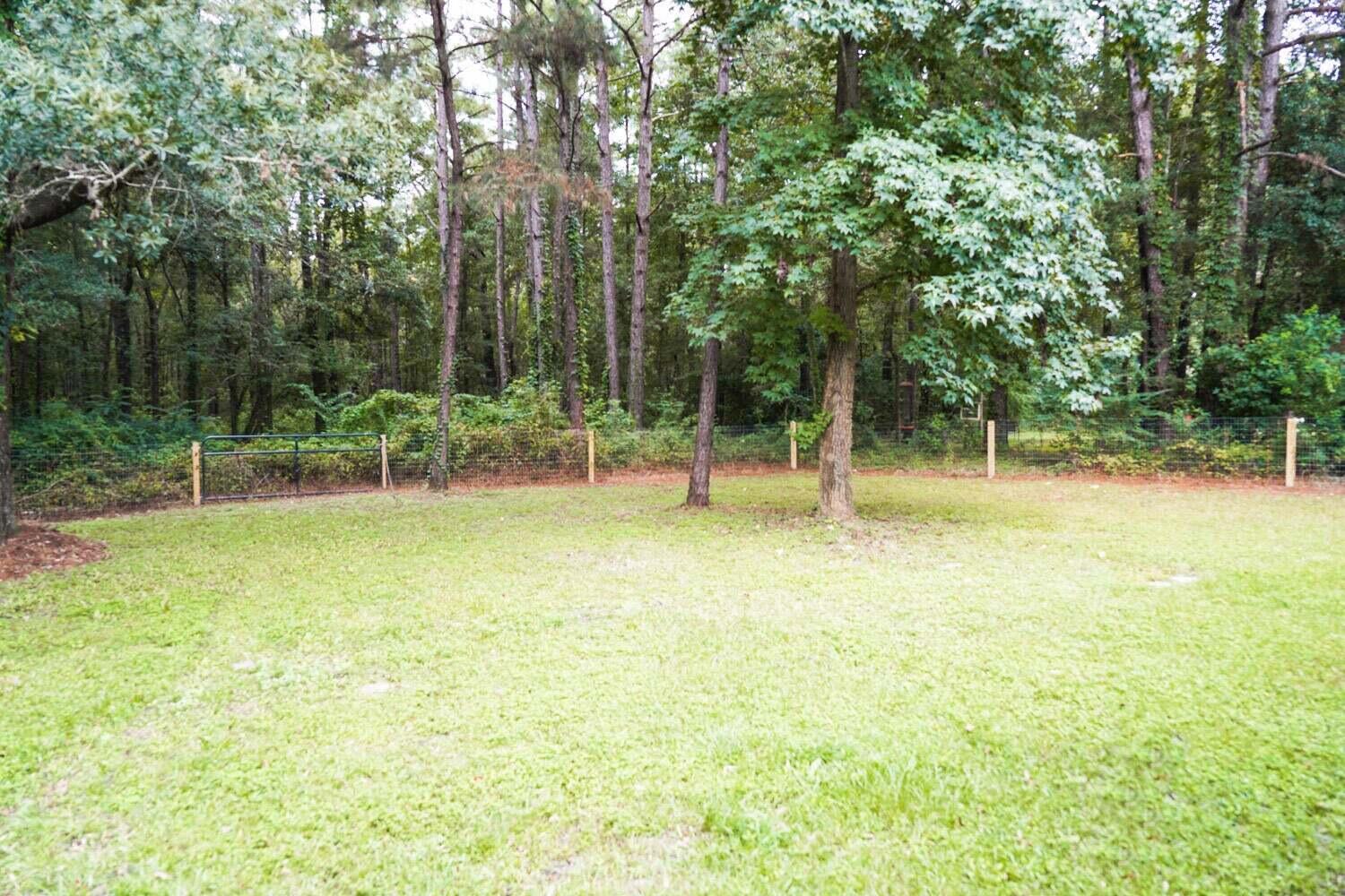 1028 Charity Church Road Huger, SC 29450 - Photo 13 of 19 1028 Charity Church yard