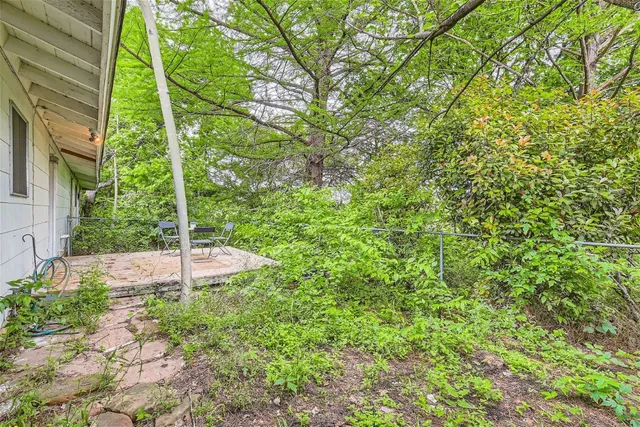 a view of a garden with a tree