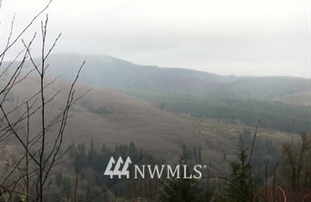 X Wagner Road Kelso, WA 98626 - Photo 1 of 1 Gallery Image 1