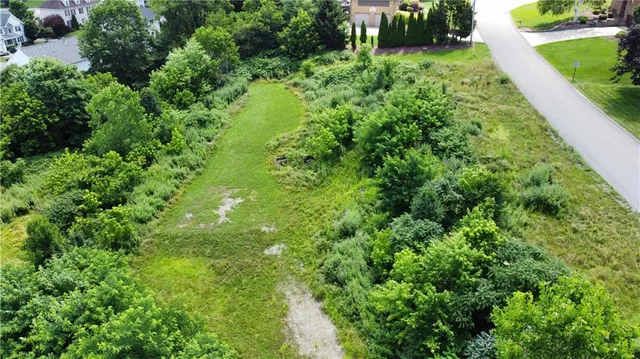 a view of a garden with a plants