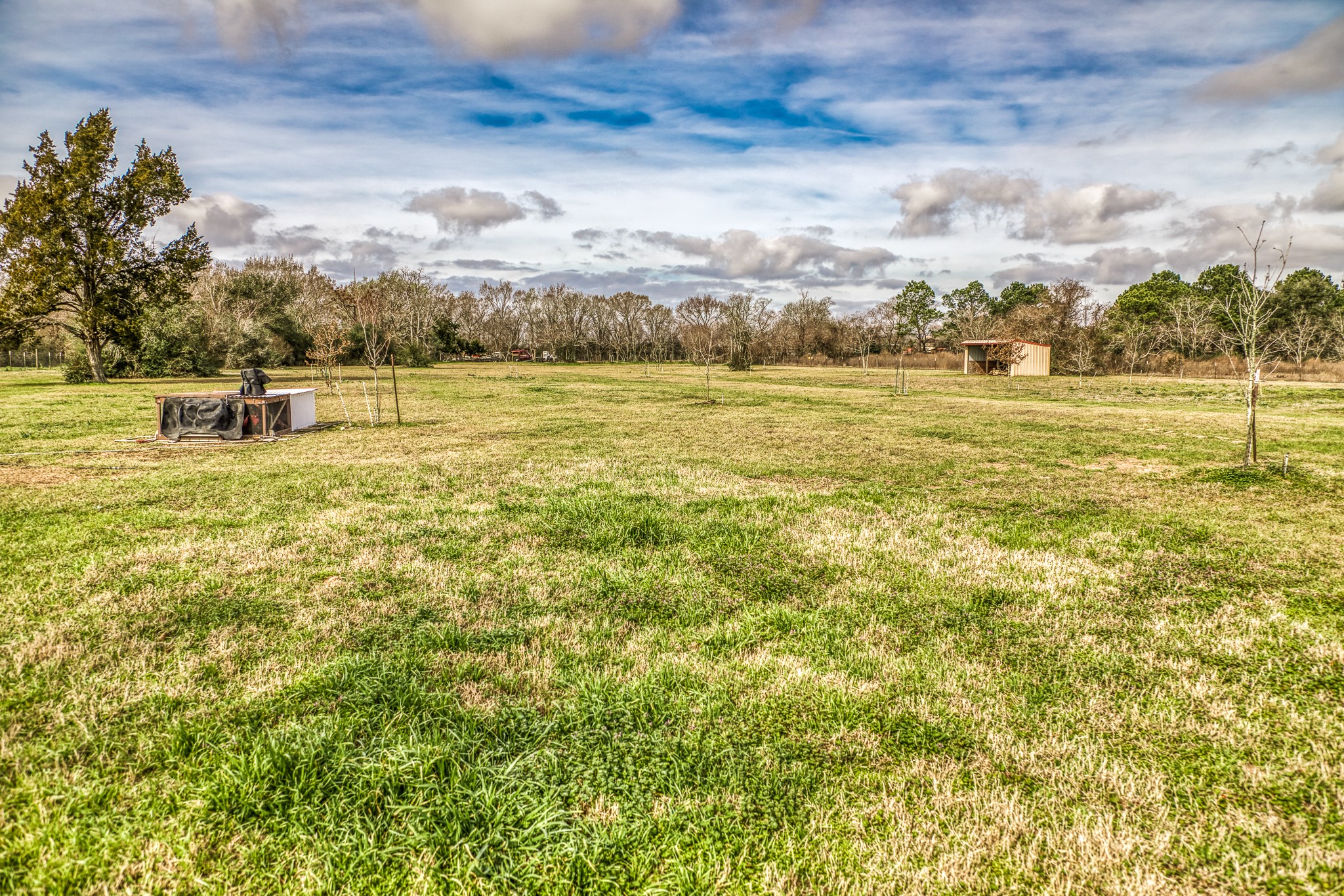677 Grubbs Road Sealy, TX 77474 - Photo 37 of 40 a view of a big yard with houses in the background