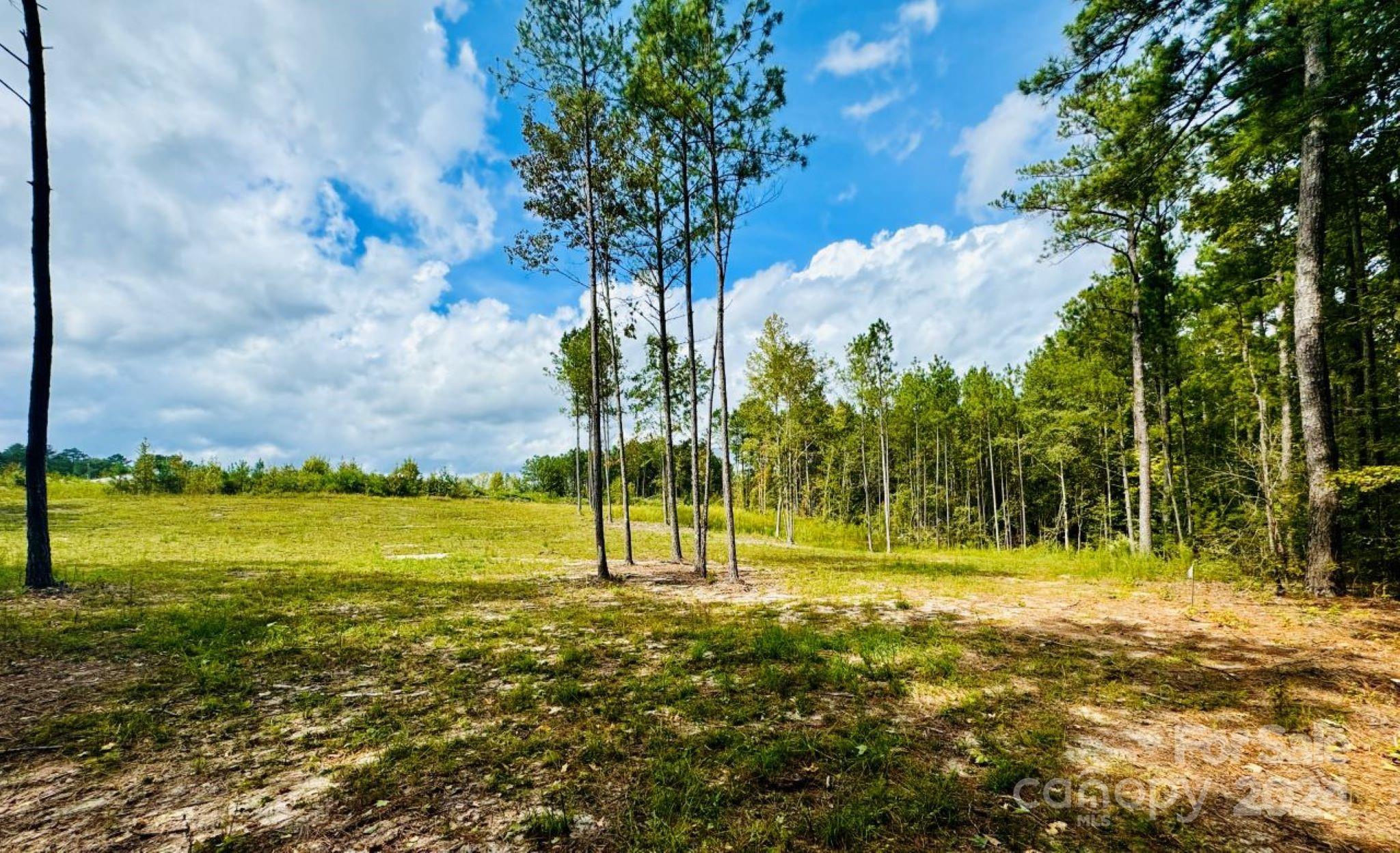 2025 Sam Jones Road Patrick, SC 29584 - Photo 1 of 15 a view of a yard with a slide