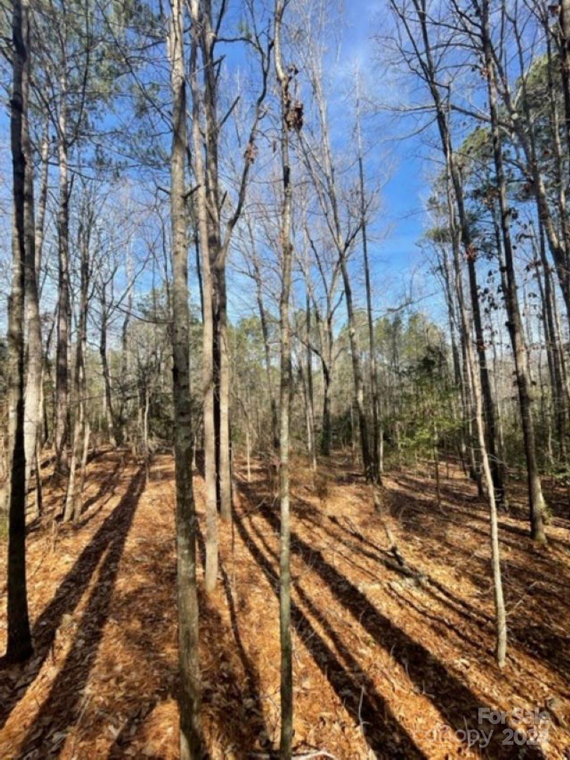 2025 Sam Jones Road Patrick, SC 29584 - Photo 11 of 15 a view of a yard