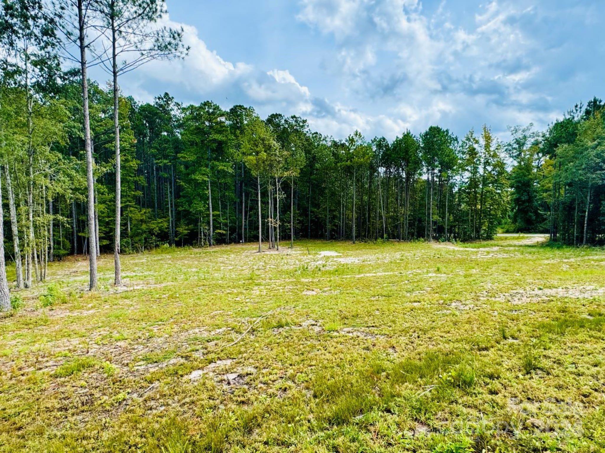 2025 Sam Jones Road Patrick, SC 29584 - Photo 3 of 15 a view of outdoor space with swimming pool and green space