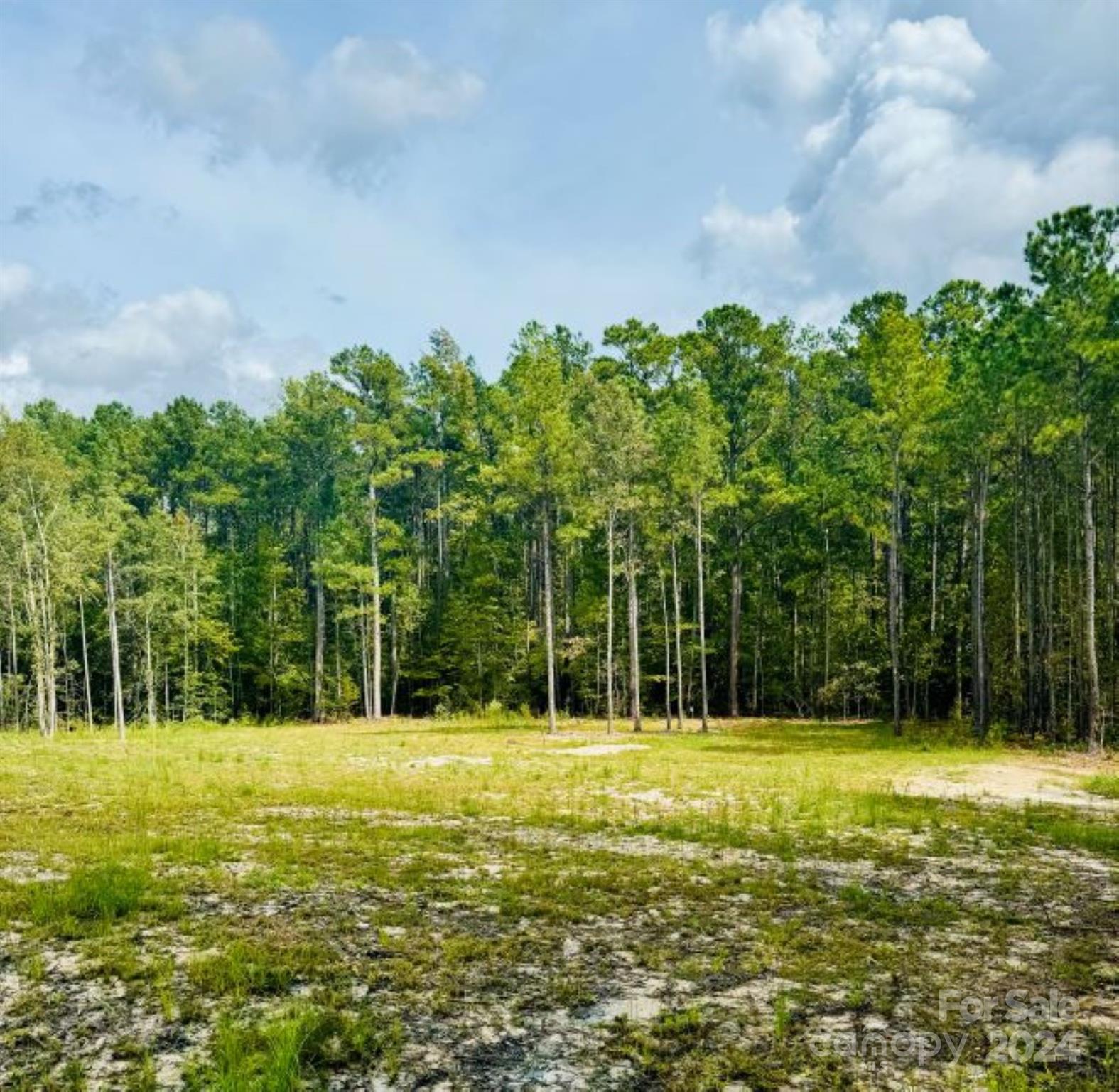 2025 Sam Jones Road Patrick, SC 29584 - Photo 8 of 15 a view of outdoor space with garden