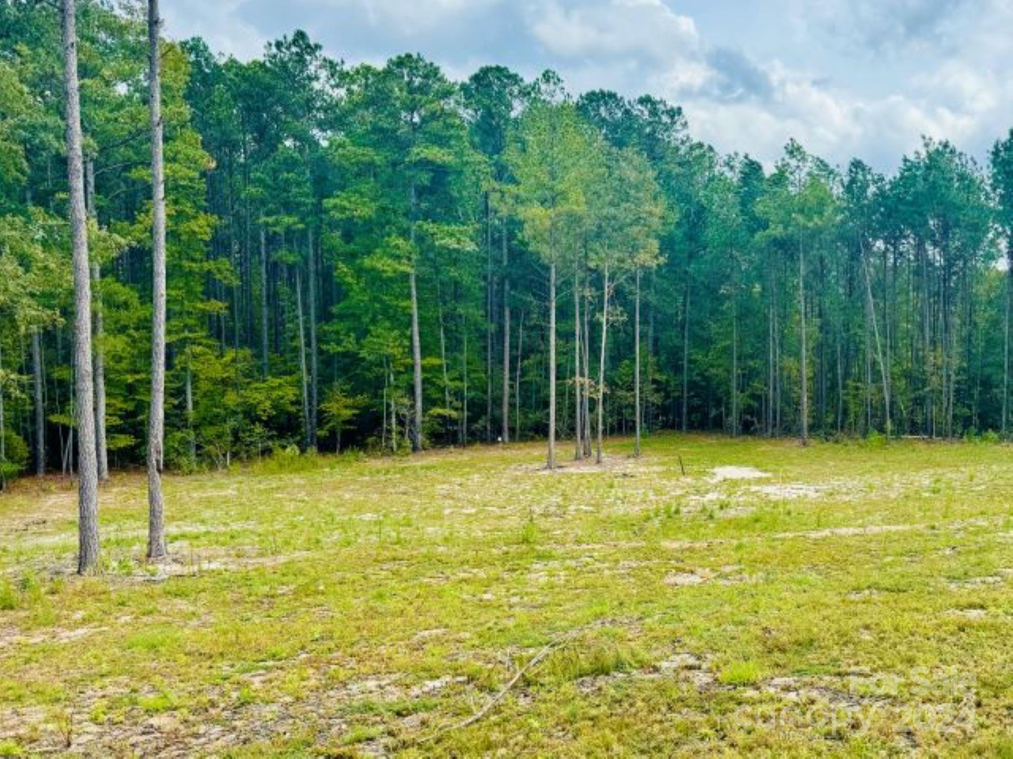 2025 Sam Jones Road Patrick, SC 29584 - Photo 9 of 15 a view of a yard with a tree