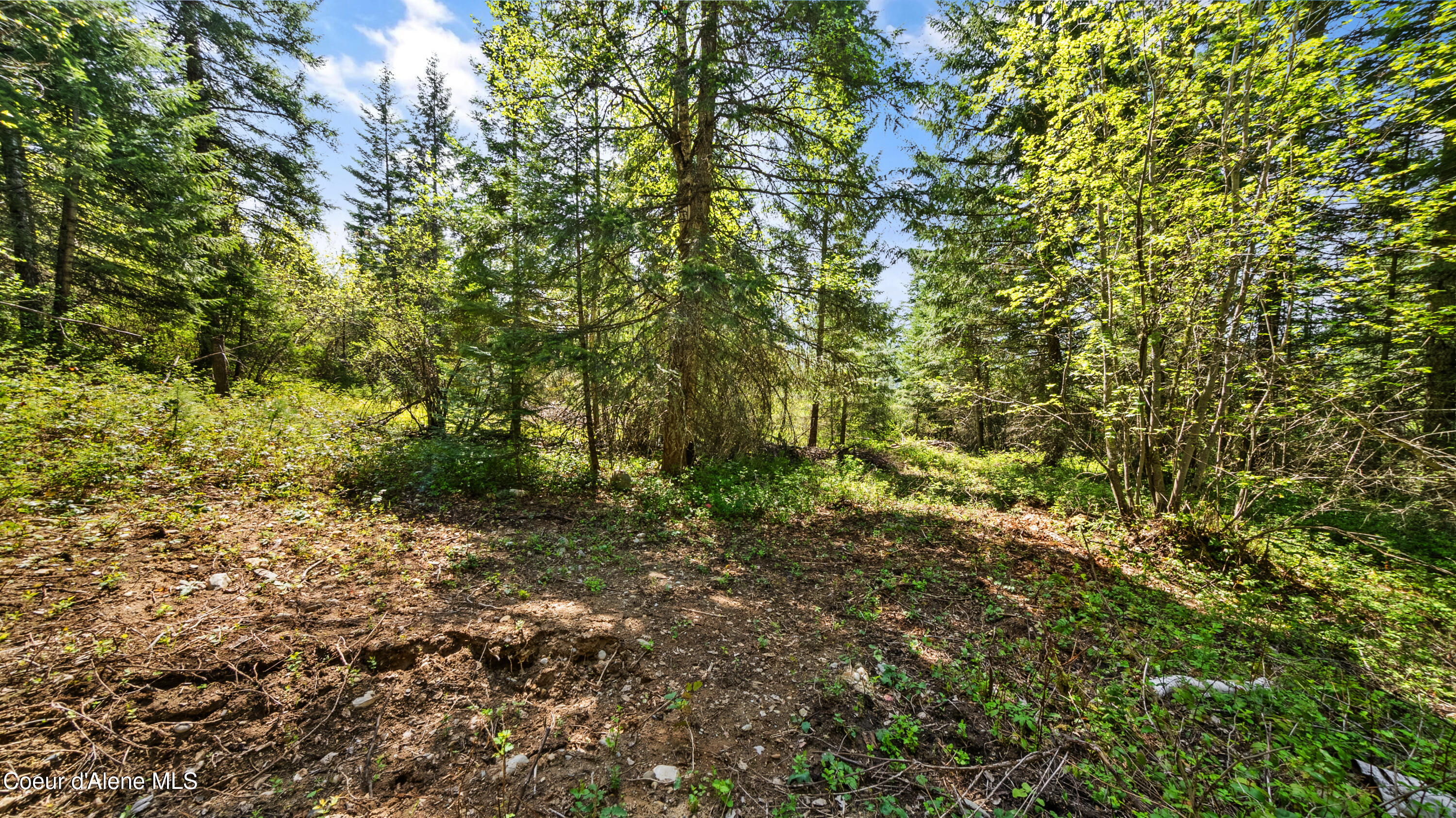 Nna Nna Sunsetter Lane Cocolalla, ID 83813 - Photo 15 of 23 SunsetterLane (20)