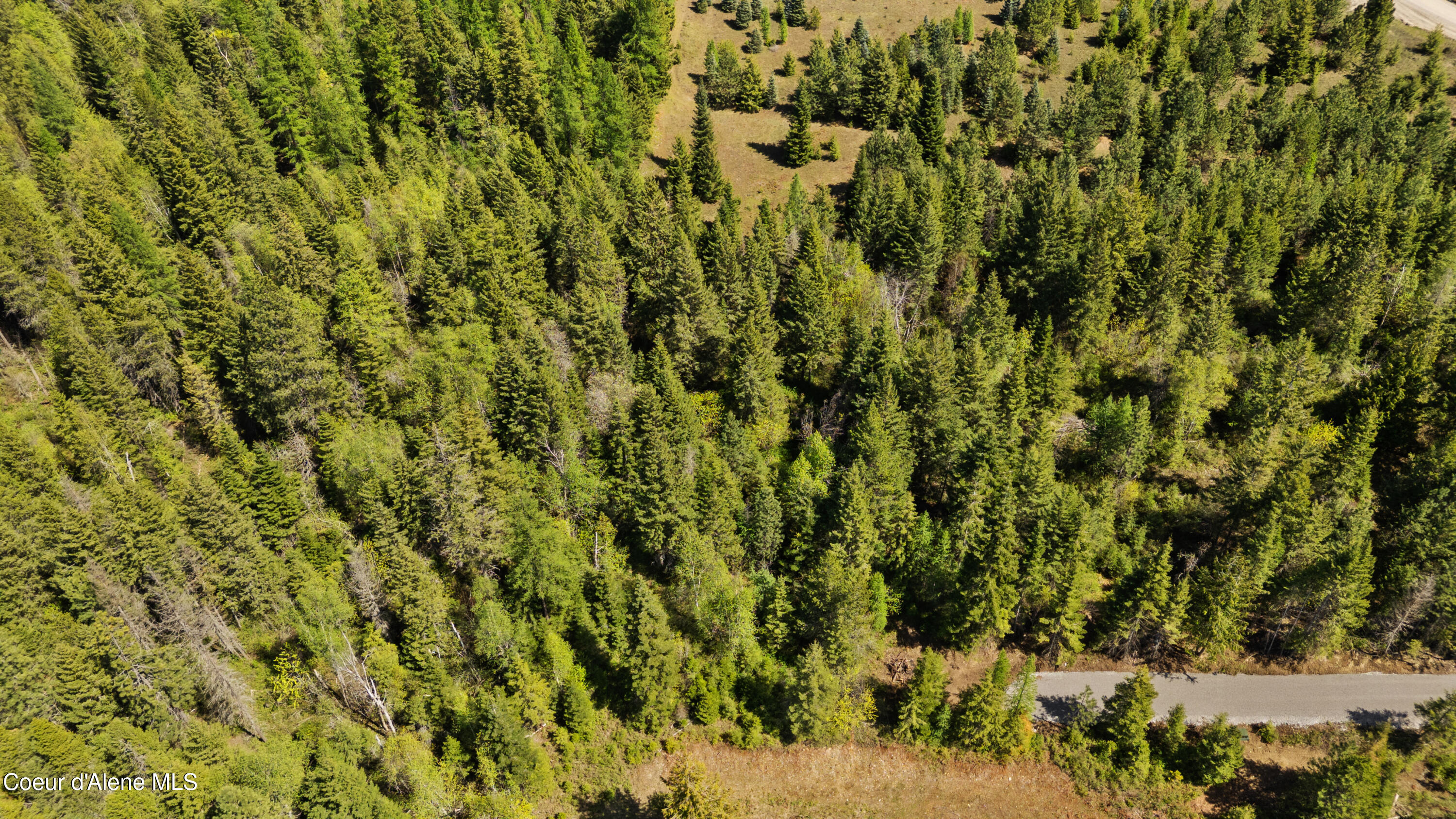 Nna Nna Sunsetter Lane Cocolalla, ID 83813 - Photo 3 of 23 SunsetterLane (5)