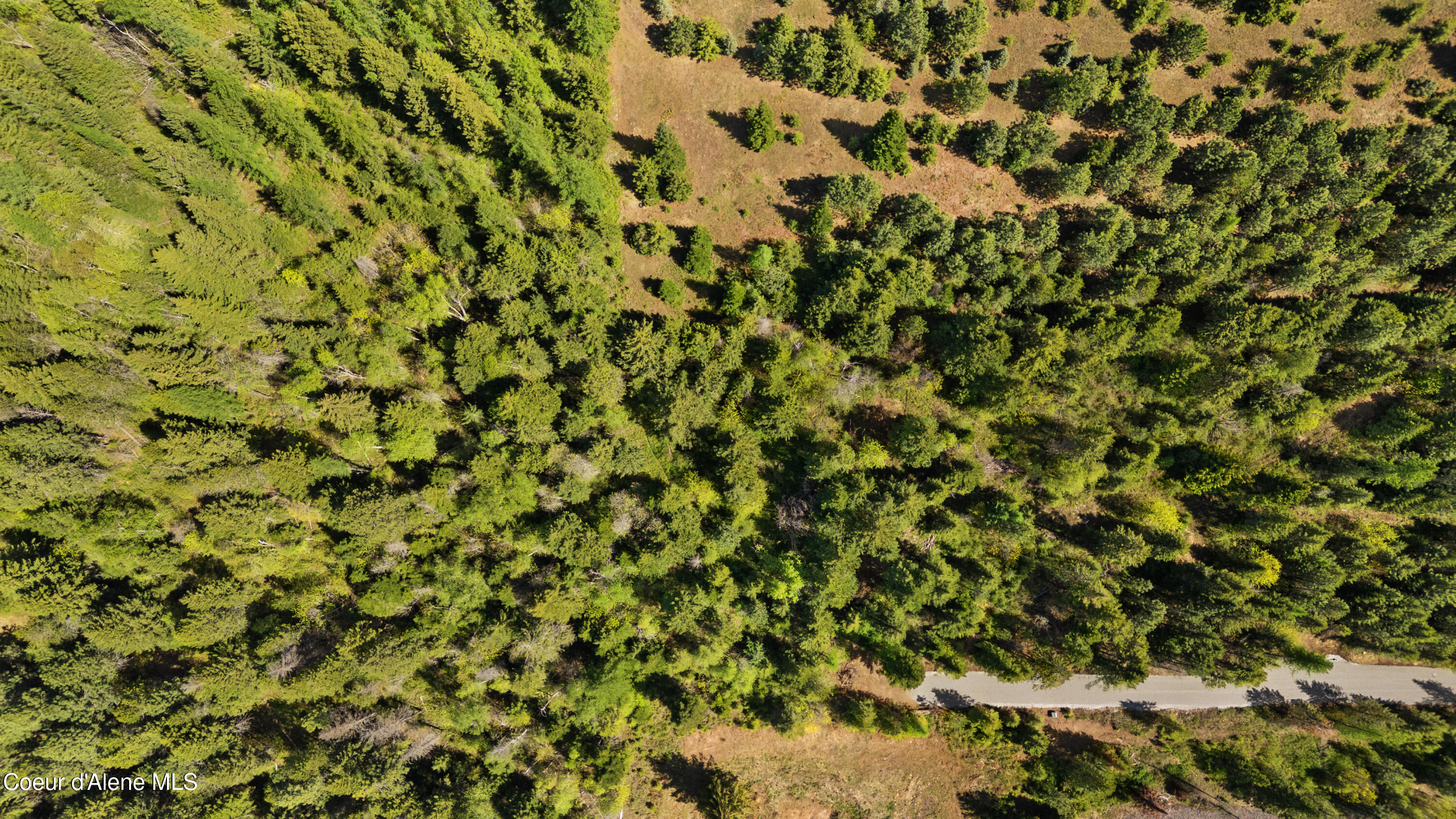 Nna Nna Sunsetter Lane Cocolalla, ID 83813 - Photo 5 of 23 SunsetterLane (6)