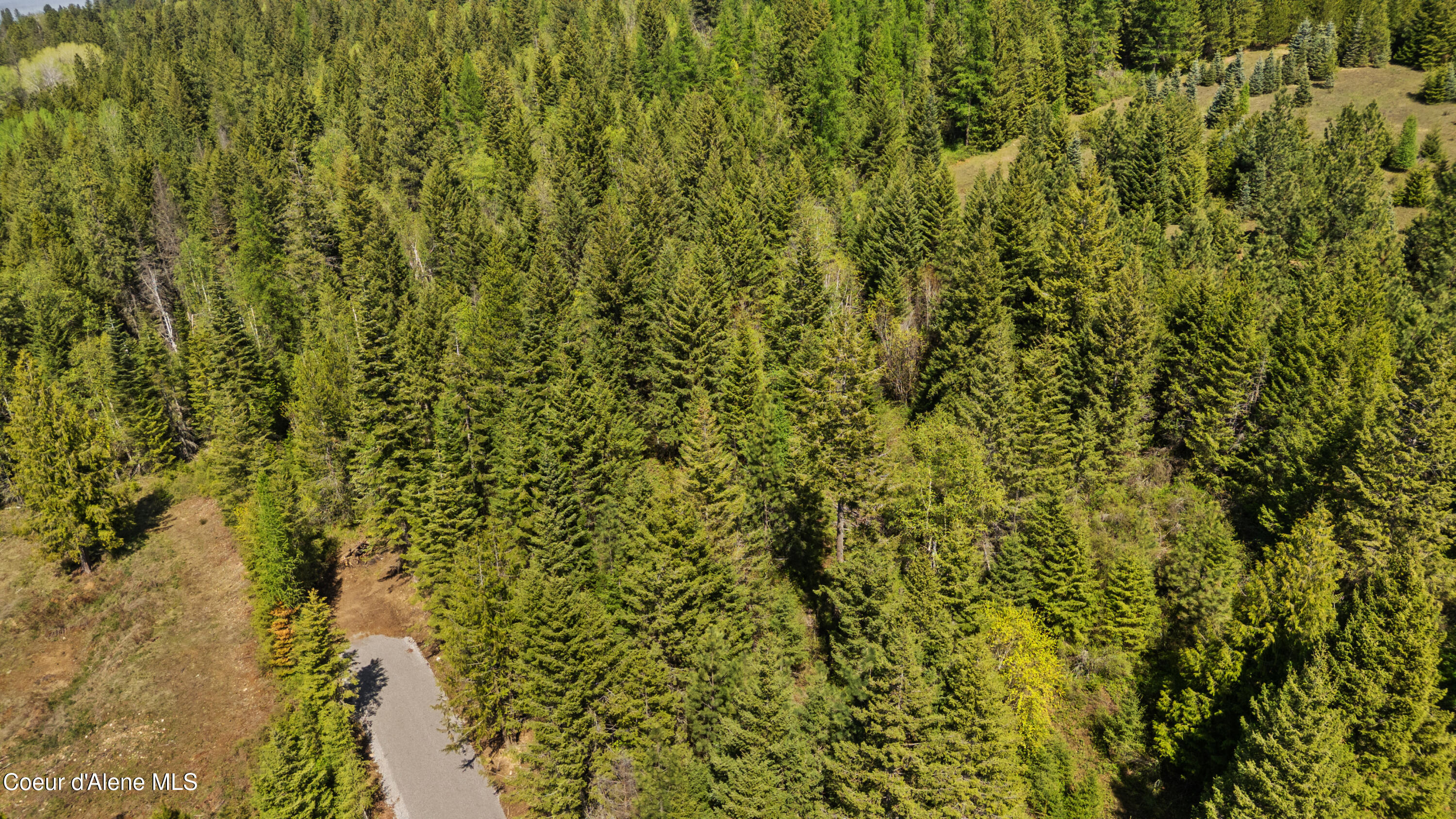 Nna Nna Sunsetter Lane Cocolalla, ID 83813 - Photo 6 of 23 SunsetterLane (7)