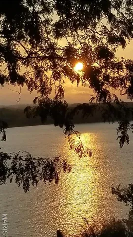 $474,900 | 403 North Main Street, Louisiana, MO 63353