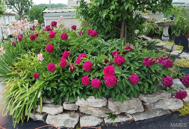 $474,900 | 403 North Main Street, Louisiana, MO 63353