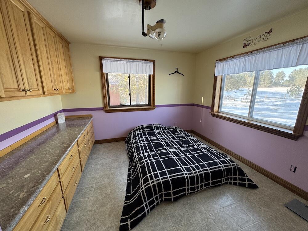 1180 West Miller Road Mio, MI 48647 - Photo 64 of 100 IMG_0508