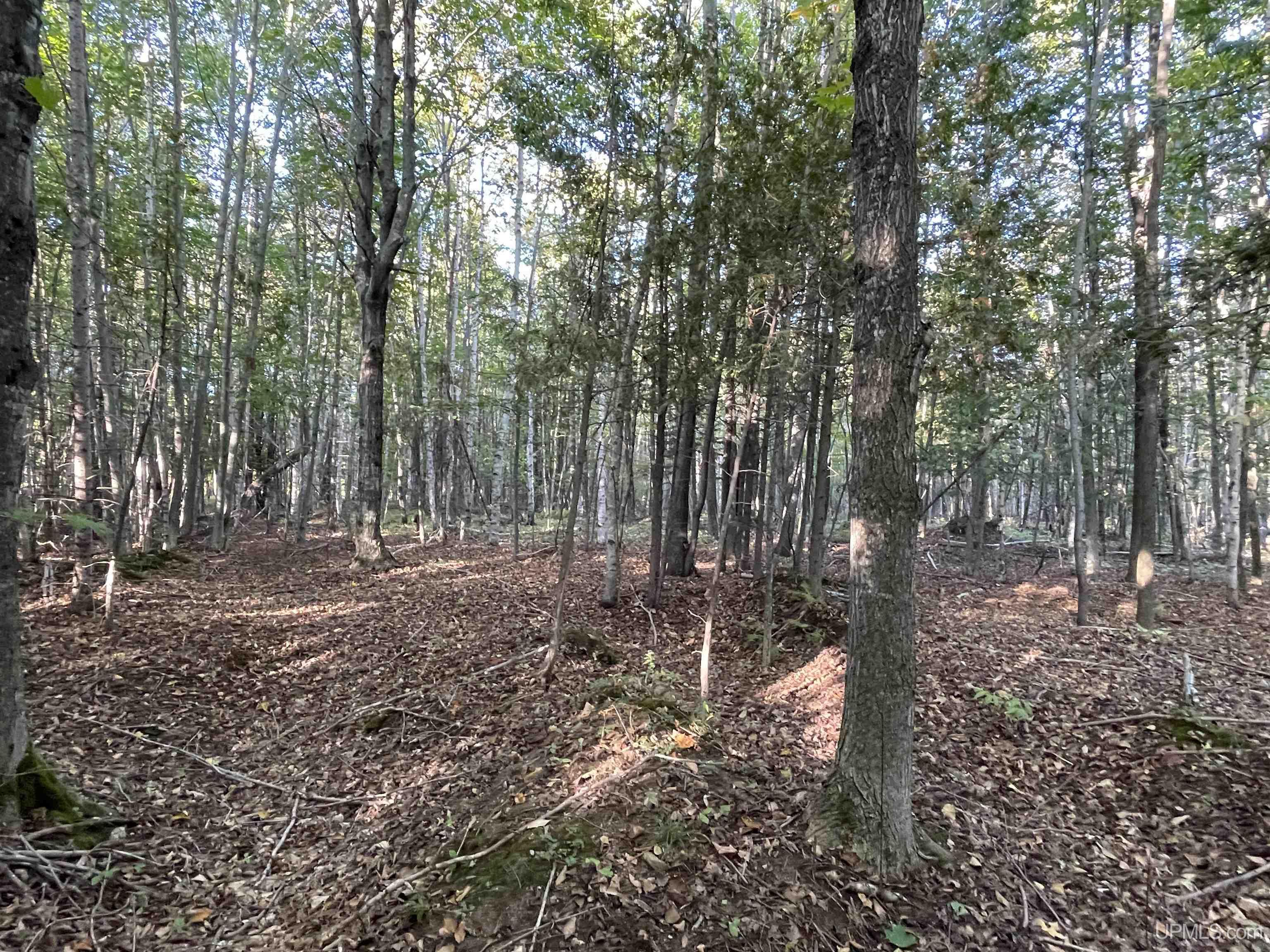 40-acres County Pit Road, Unit PARCEL #2 Manistique, MI 49854 - Photo 24 of 51 Gallery Image 24