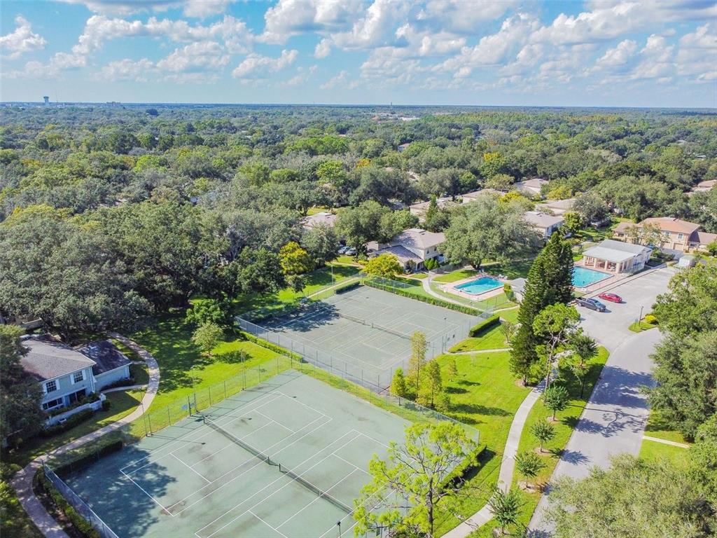 11764 Raintree Drive Temple Terrace, FL 33617 - Photo 17 of 18