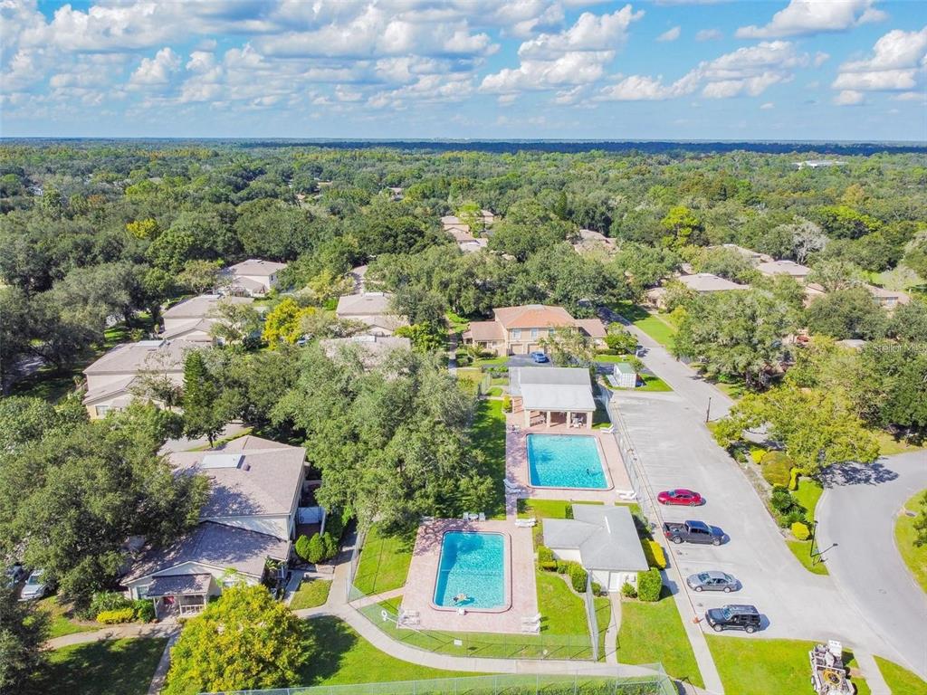 11764 Raintree Drive Temple Terrace, FL 33617 - Photo 18 of 18