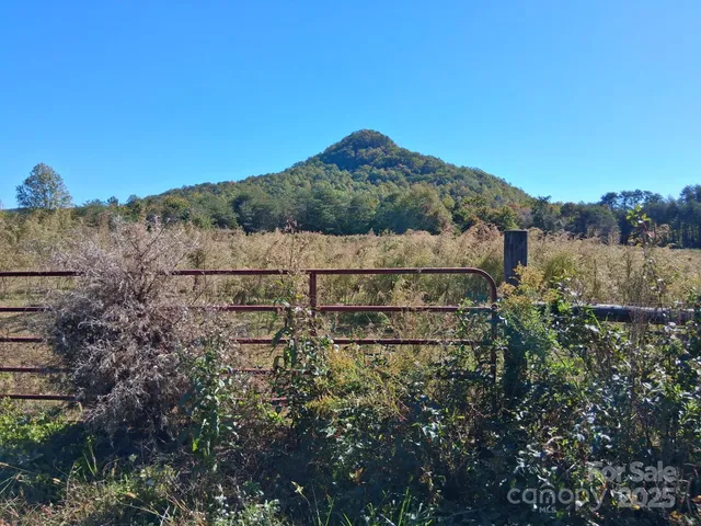 $171,000 | 330 Dirty Ankle Road, Lawndale, NC 28090