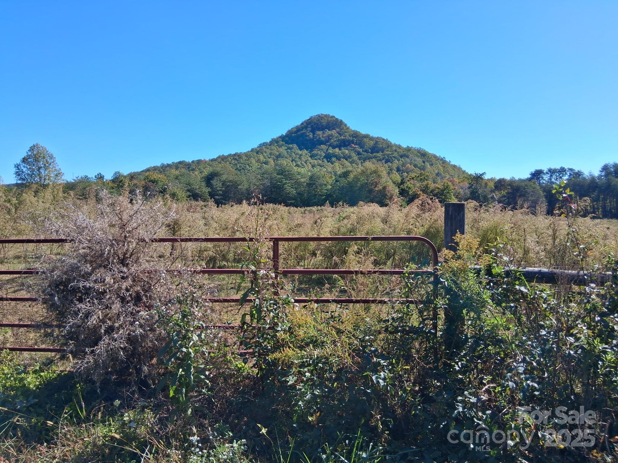 330 Dirty Ankle Road Lawndale, NC 28090 - Photo 22 of 28