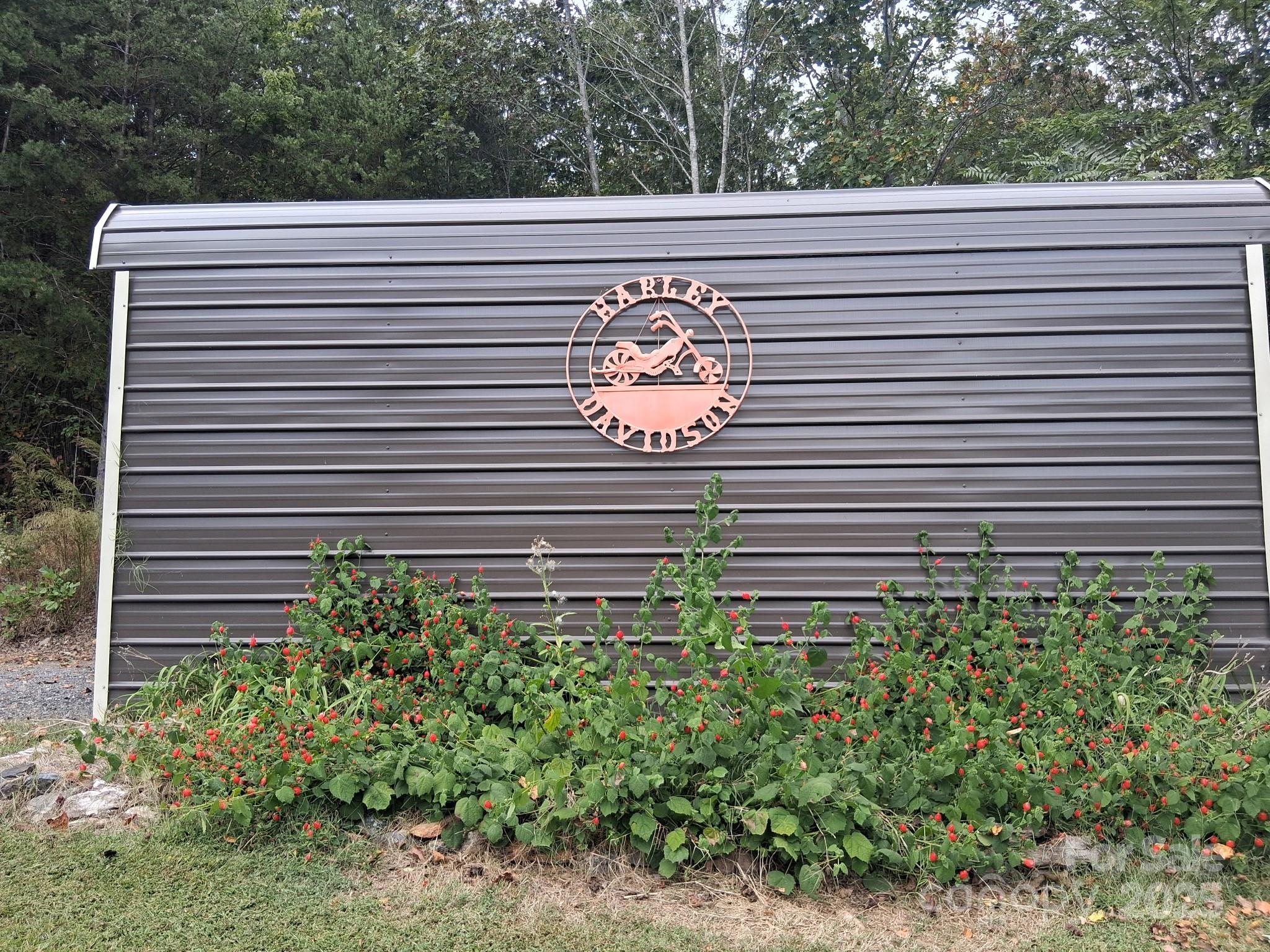 330 Dirty Ankle Road Lawndale, NC 28090 - Photo 7 of 28