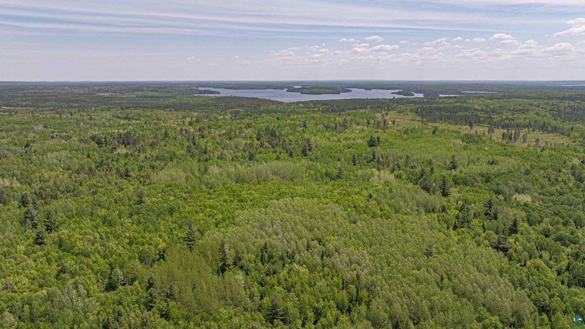 Tbd Tbd Muckwa Lake Road Babbitt, MN 55706 - Photo 28 of 54