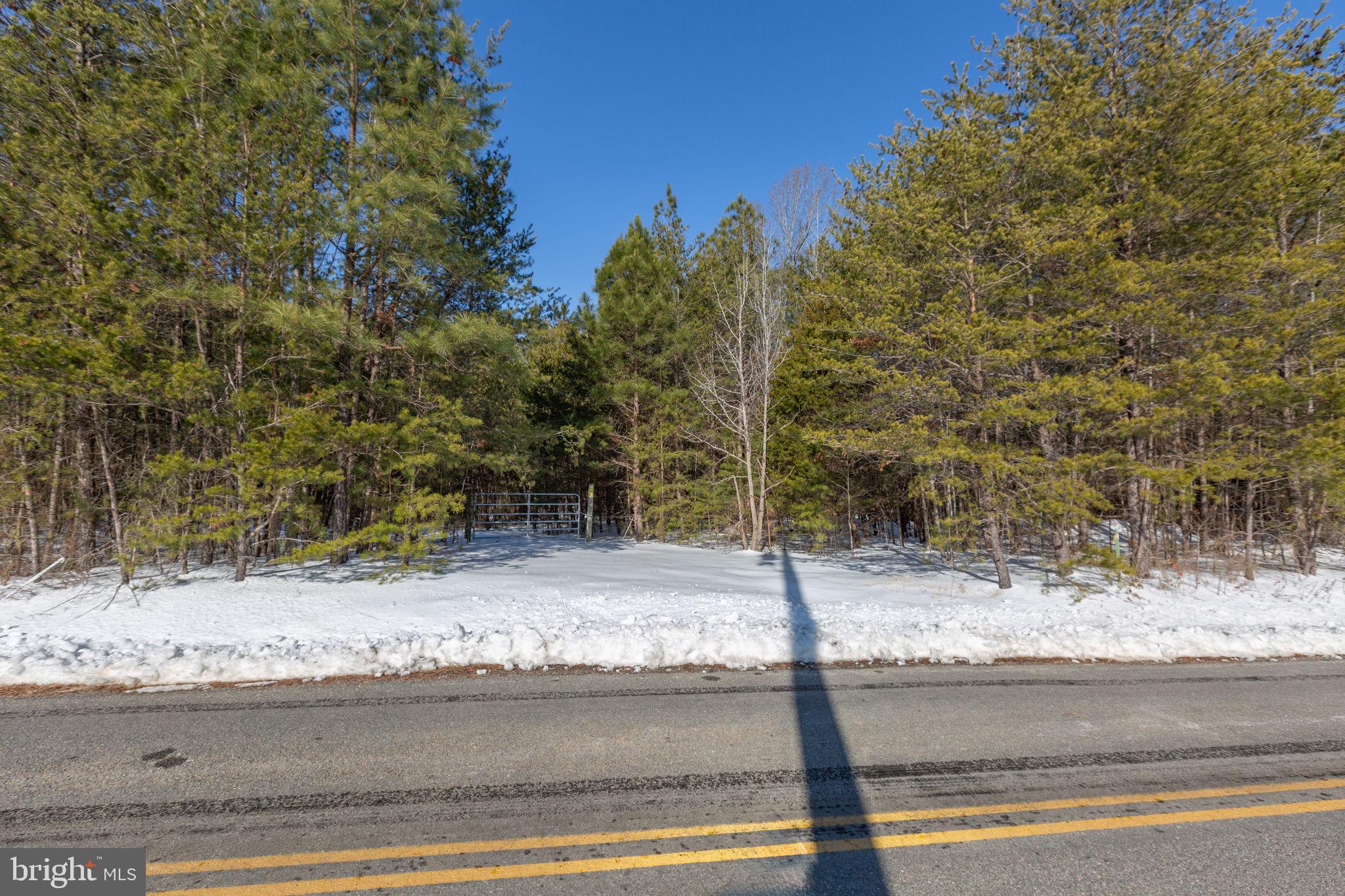 0 Pomona Road Colonial Beach, VA 22443 - Photo 3 of 5 a view of a yard and street