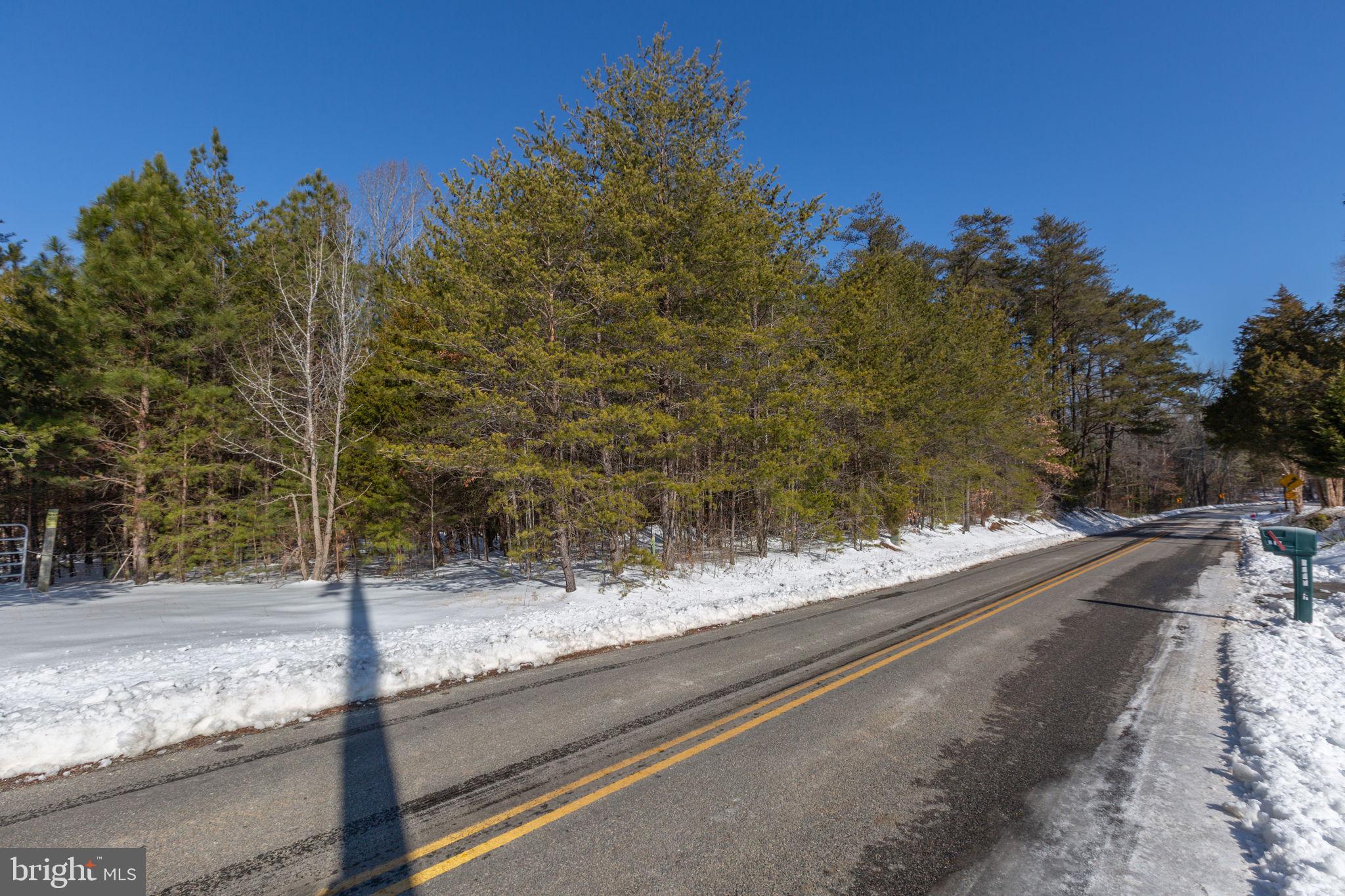 0 Pomona Road Colonial Beach, VA 22443 - Photo 4 of 5 a view of a yard with street