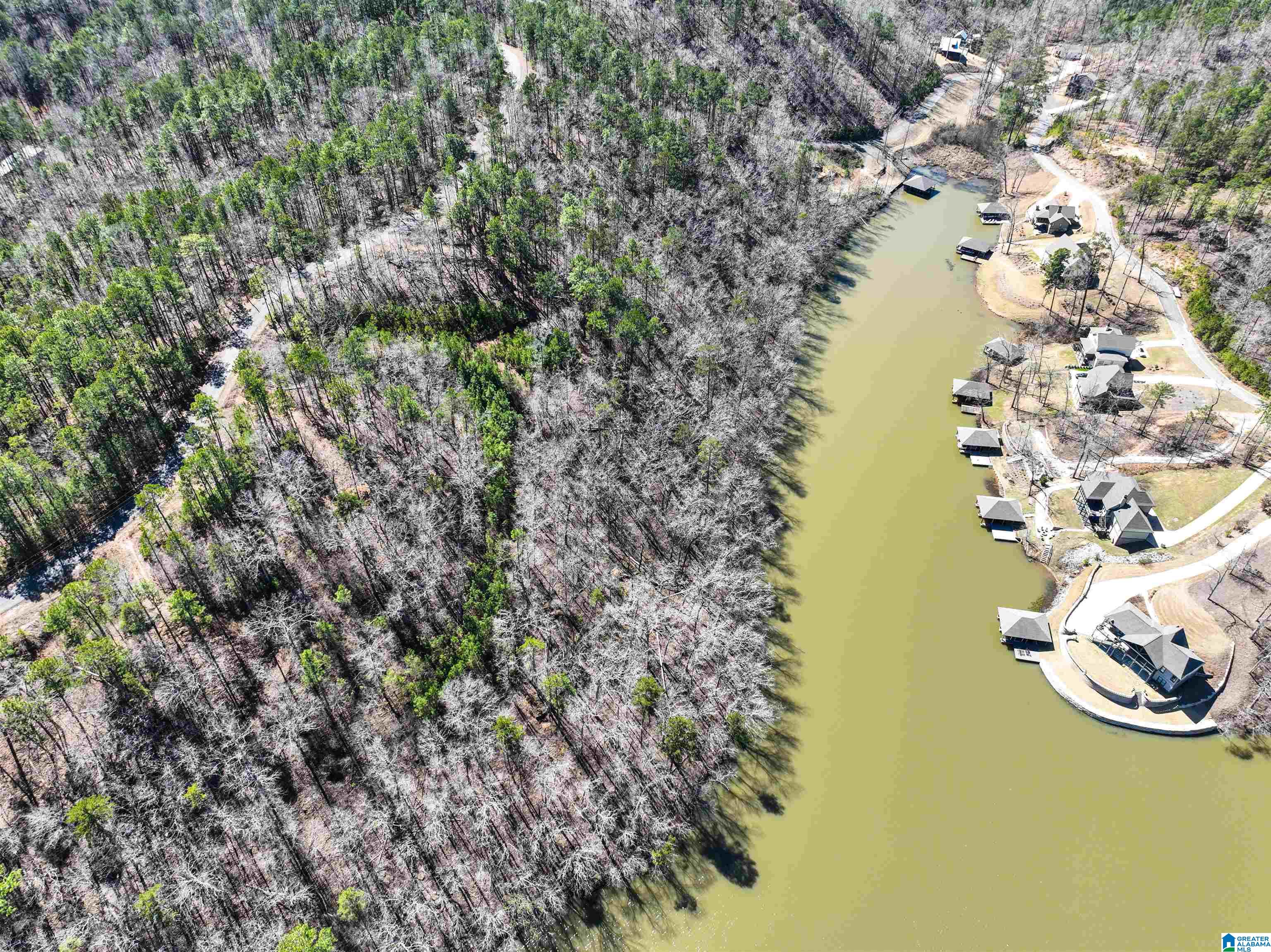 0 Preserve Road, Unit LOT 7 Rockford, AL 35136 - Photo 8 of 16