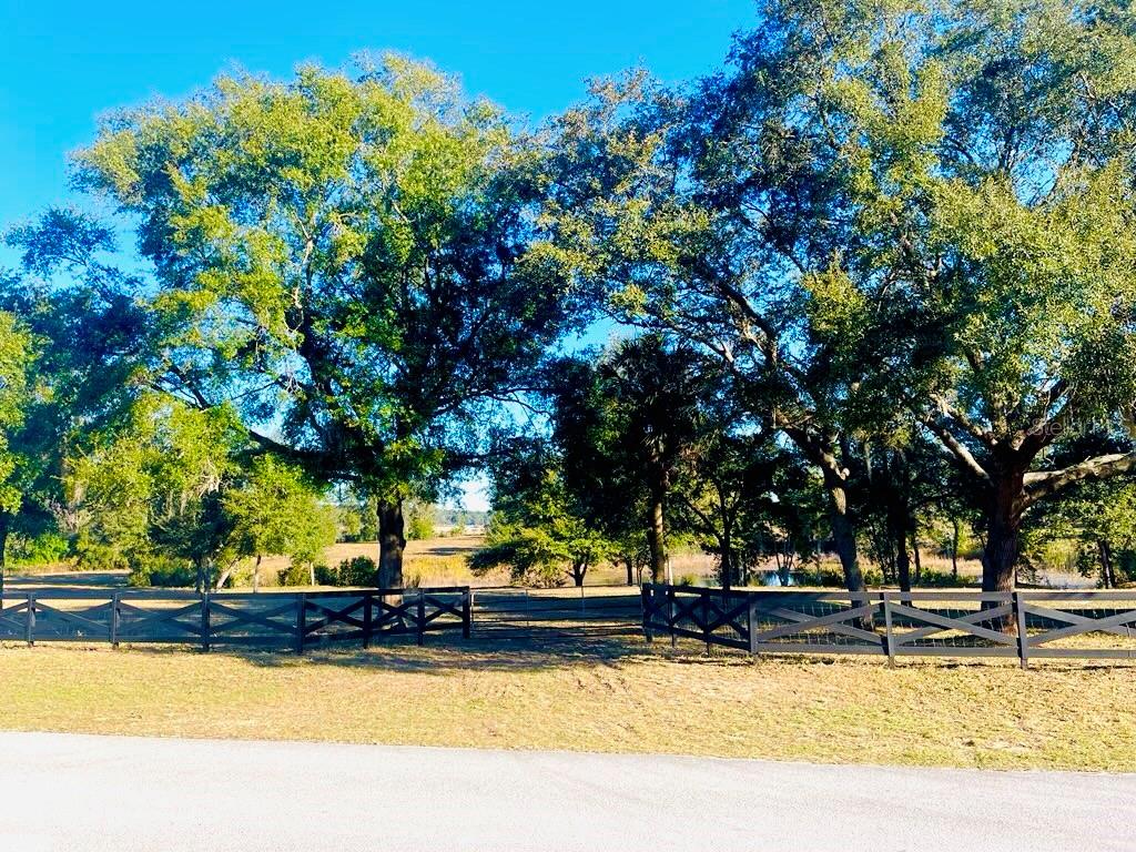 Hunters Trace Lane Clermont, FL 34715 - Photo 1 of 16 a view of swimming pool with trees