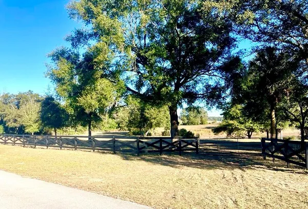 a view of a park with large trees