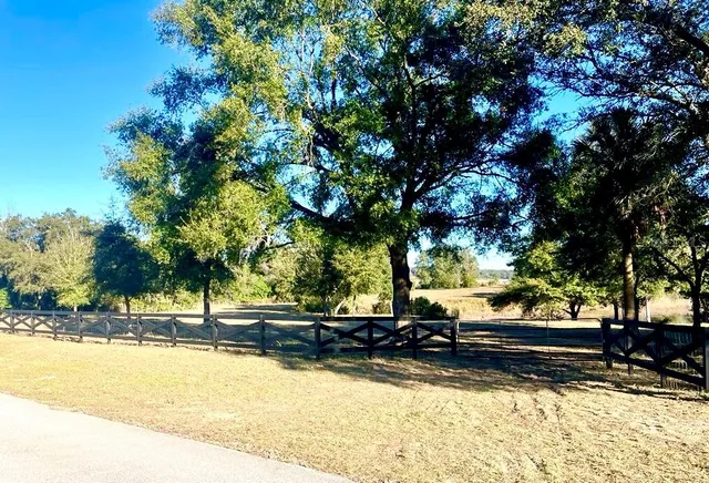 a view of a park with large trees