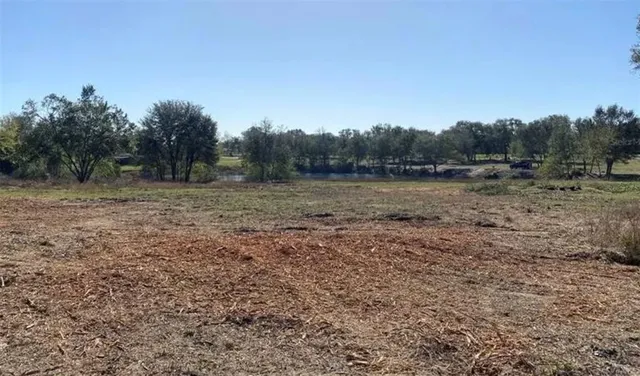 a view of a field with trees in background
