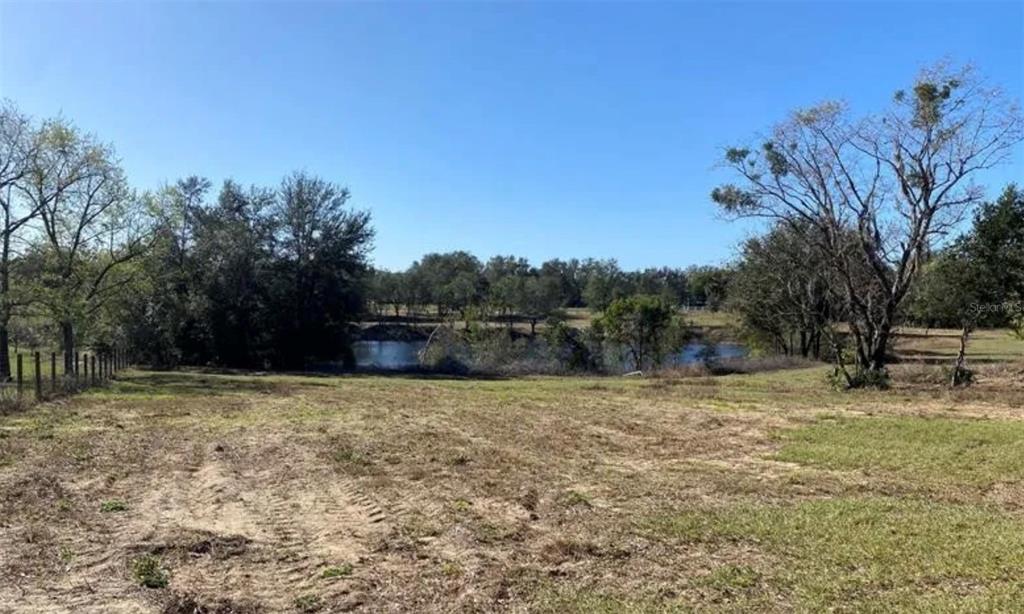 Hunters Trace Lane Clermont, FL 34715 - Photo 15 of 16 a backyard of a house with lots of trees