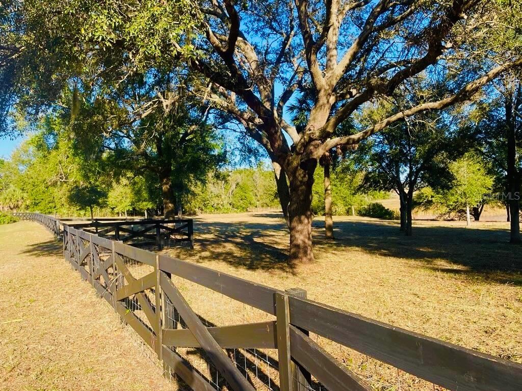 Hunters Trace Lane Clermont, FL 34715 - Photo 3 of 16 a view of yard with trees