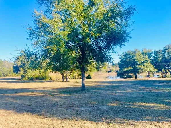 a view of a yard with a tree