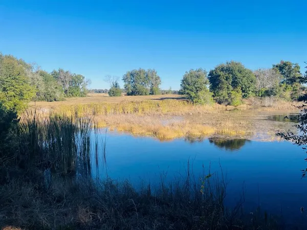 a view of lake with green space