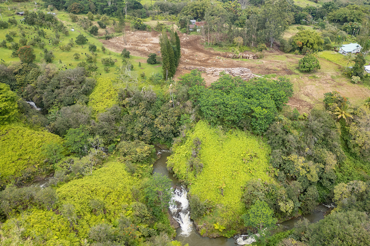 33 Kaiwiki Road Hilo, HI 96720 - Photo 2 of 29