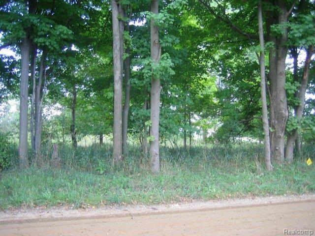 3 Five Lks Road Lapeer, MI 48446 - Photo 4 of 9 IMG_4651.JPG